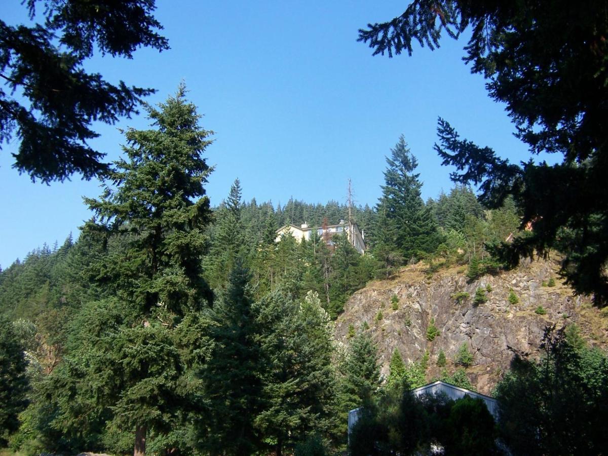 High Hopes Bed And Breakfast Extérieur photo