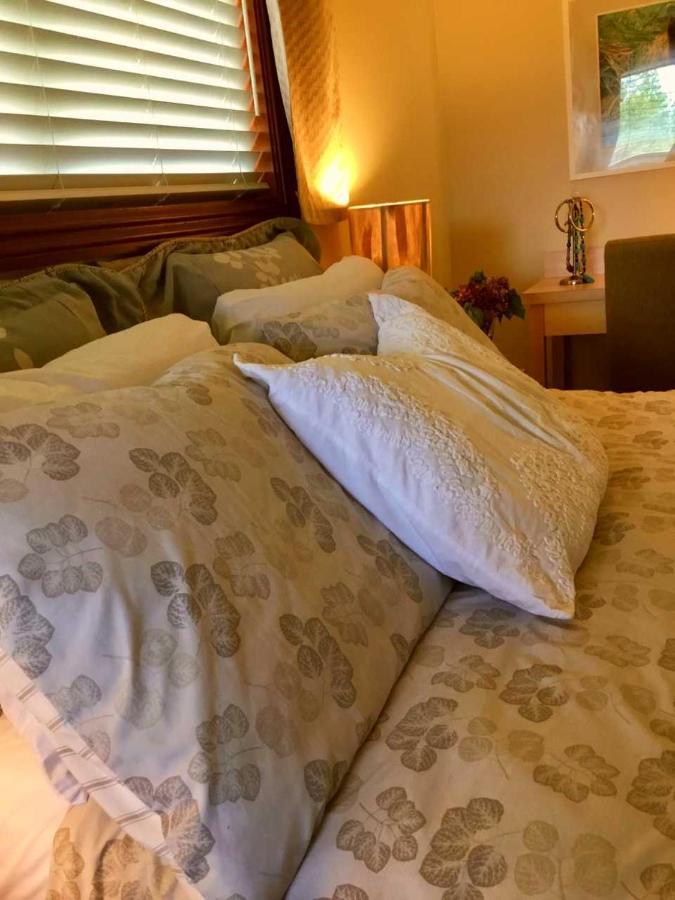 High Hopes Bed And Breakfast Extérieur photo