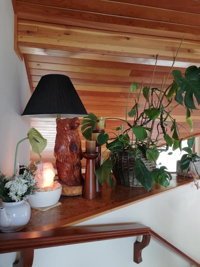 High Hopes Bed And Breakfast Extérieur photo